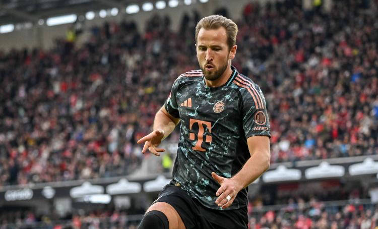 不仅解答了 不仅解答了