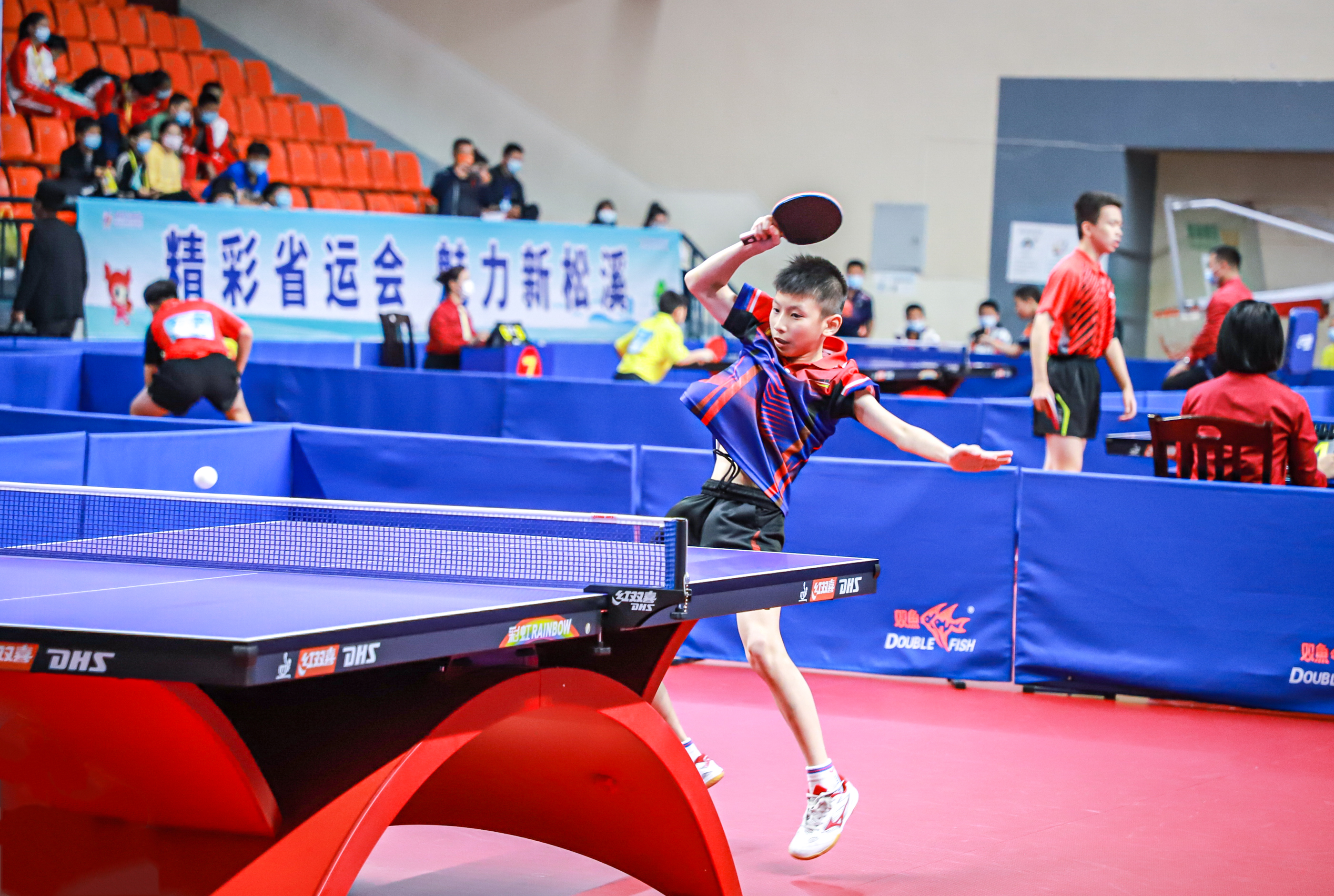 预测截然不 预测截然不